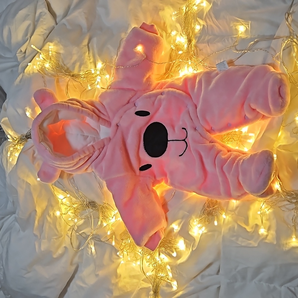 Infant Snowsuit Onesie 0-3 Month